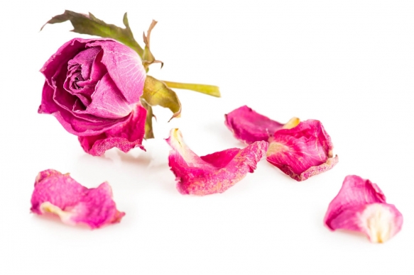 Wedding Day Etiquette (5 Of 10)